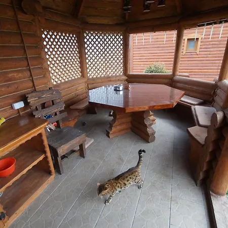 Hotel Dacha *