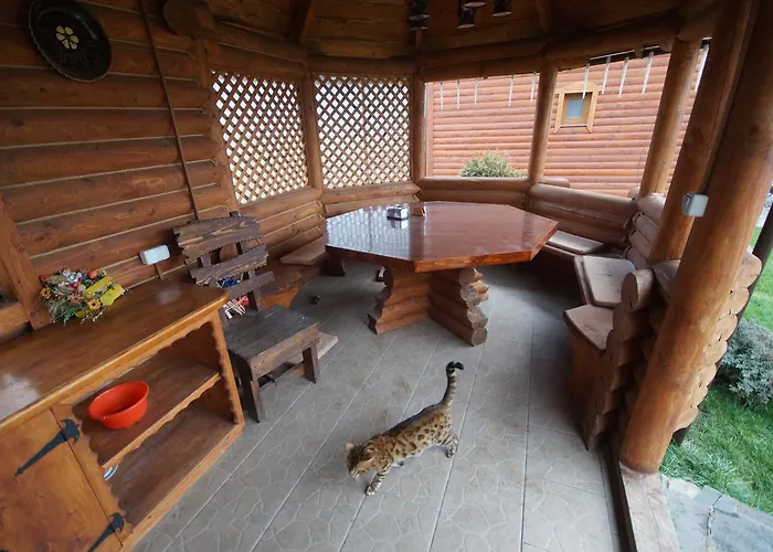 酒店 Dacha *