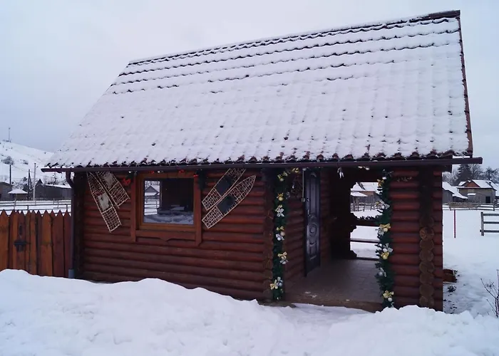 Dacha 亚西尼亚